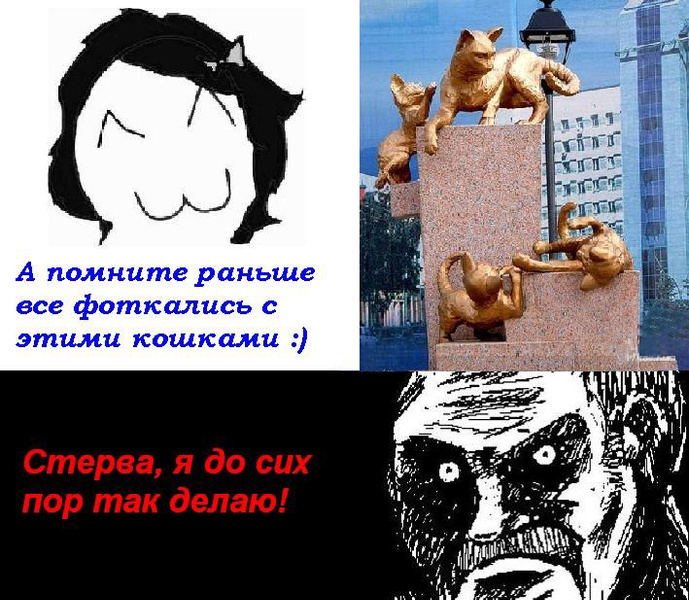 Бульвар кошек Тюмень мемы Тюмени