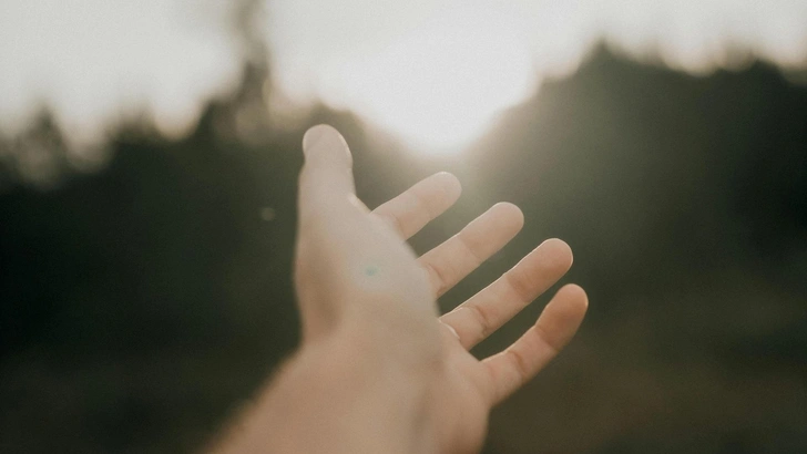 Источник: Unsplash