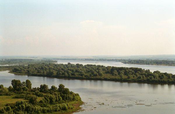 Место, где река Тойма впадает в Каму близ Елабуги | Источник: https://commons.wikimedia.org/