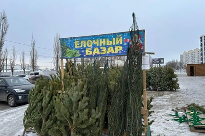В Воронеже 19 декабря откроются 79 елочных базаров