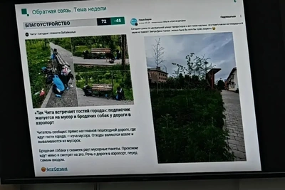 ЦУР: жалобы на дороги выросли на 20%