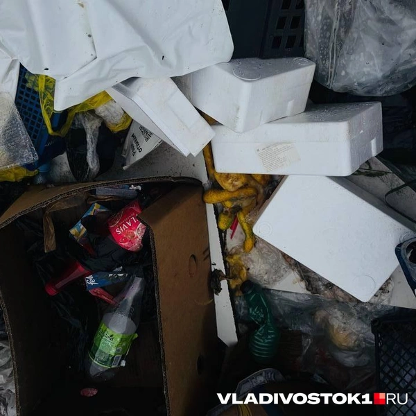 Источник: Елена Буйвол / VLADIVOSTOK1.RU