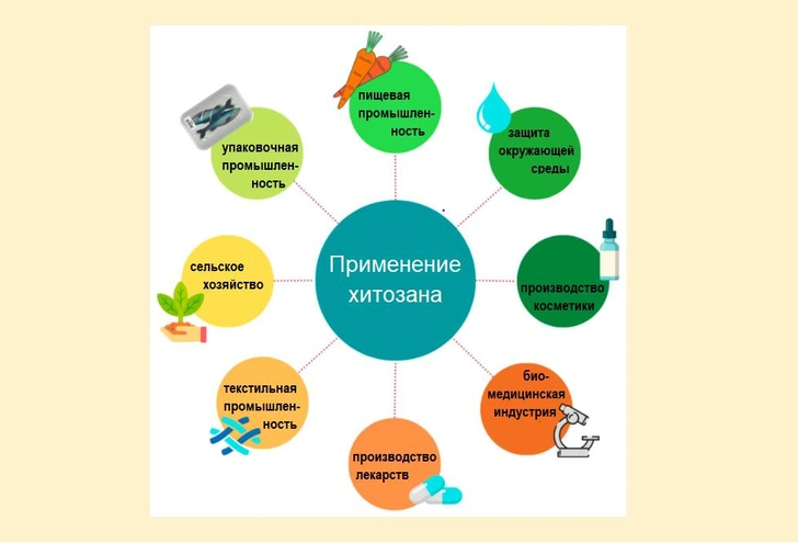 Спасительный панцирь: что такое хитозан и как он стал биополимером будущего