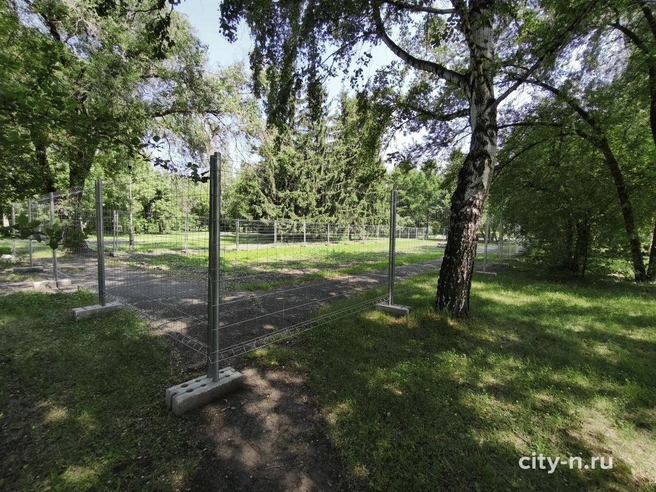 Источник: www.city-n.ru