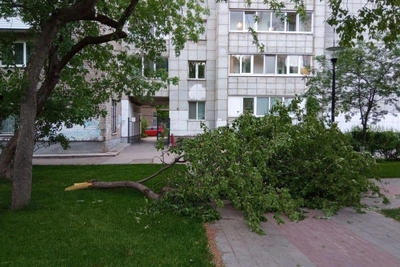 Ветер в Перми: 22 м/с, Шихов рассказал о 27 мая