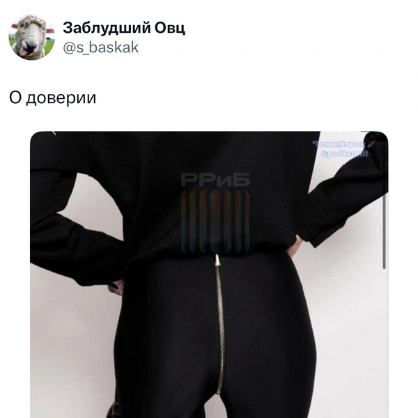 Источник: X (Twitter)
