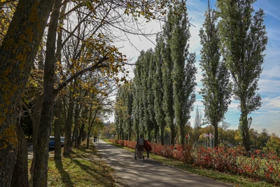 К 1 сентября в Нижнем Новгороде потеплеет до +25°C