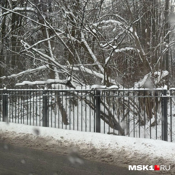 Источник: читатель MSK1.RU
