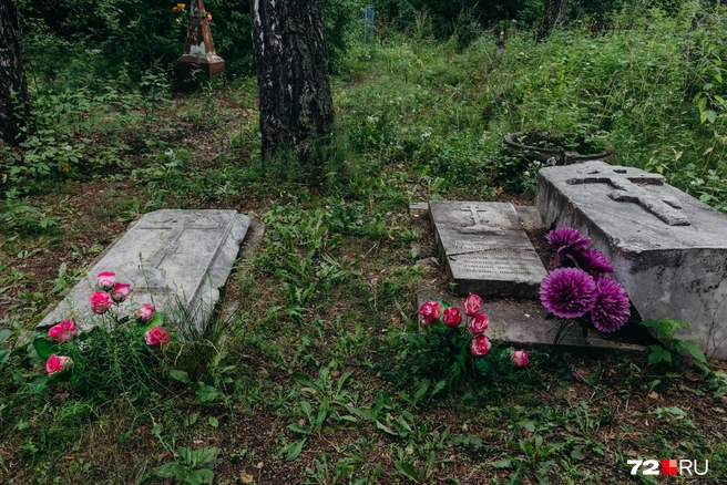 Потомки следят за могилами предков | Источник: Ирина Шарова / 72.RU