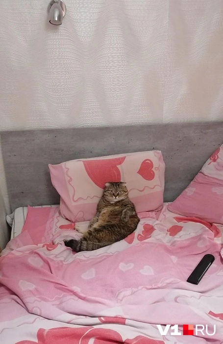 Красотка уже полностью готова ко сну! | Источник: читатели V1.RU