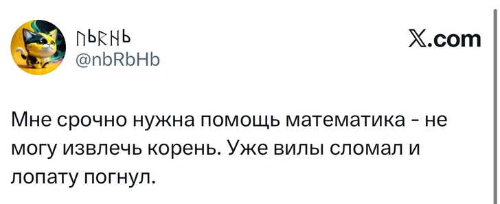 Источник: X (Twitter)