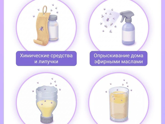 Лайфхаки и действенные способы по борьбе с мошками | Источник: Евгения Бикунова / Городские порталы