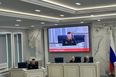 Плугин о делах по мошенничеству с недвижимостью и деле Долиной