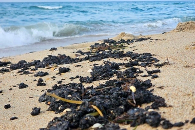 New fuel oil spill hits Anapa beaches