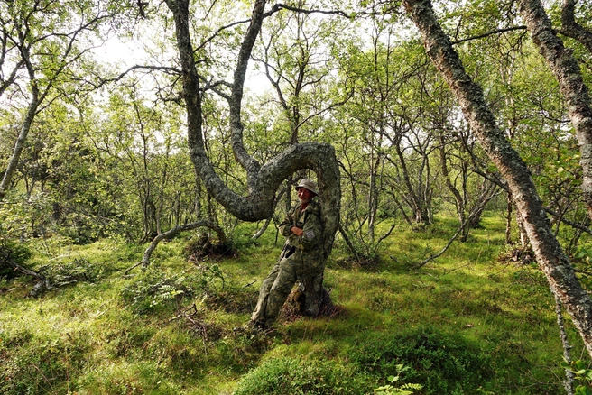 Под аркой | Источник: Евгений Марсаков