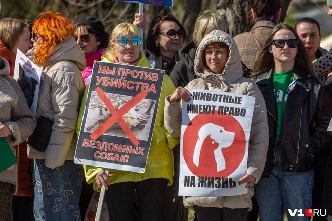 Митинг проходил в условиях повышенной секретности | Источник: Константин Завриков / V1.RU