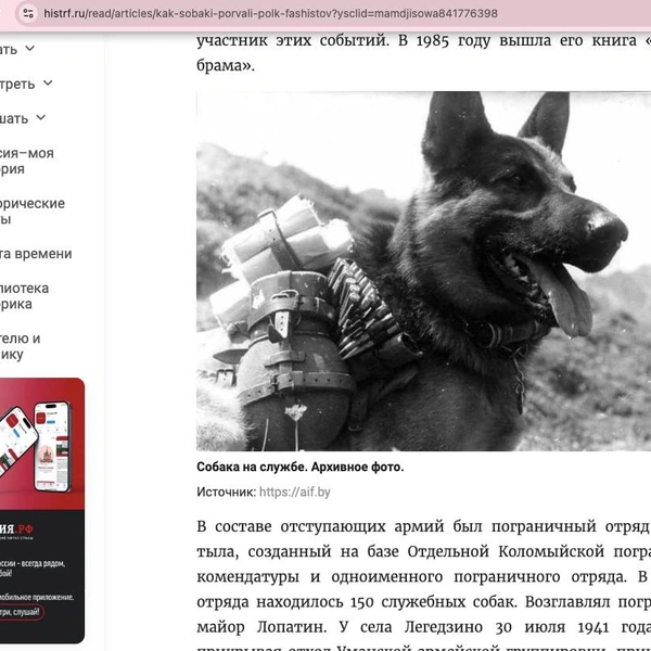 Источник: скриншот с сайта histrf.ru