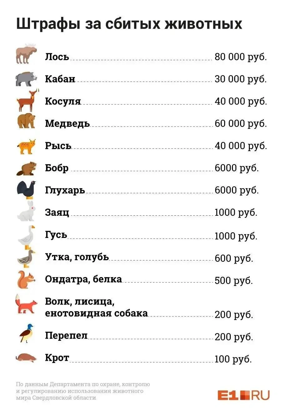 Источник: Анна Рыбакова / E1.RU