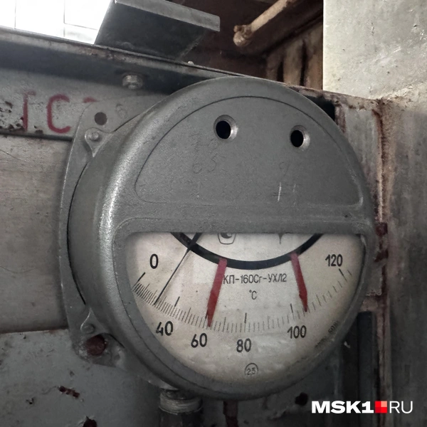 Источник: Алина Мельникова / MSK1.RU
