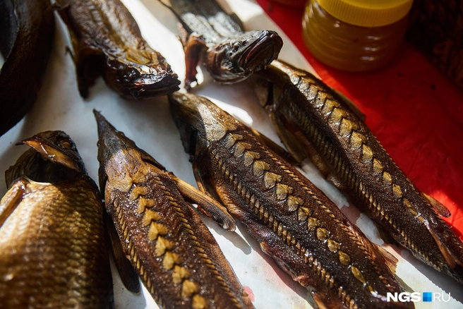 Копченая стерлядка выглядит и пахнет максимально аппетитно. Увы, цены аппетиту не способствуют | Источник: Александр Ощепков / NGS.ru