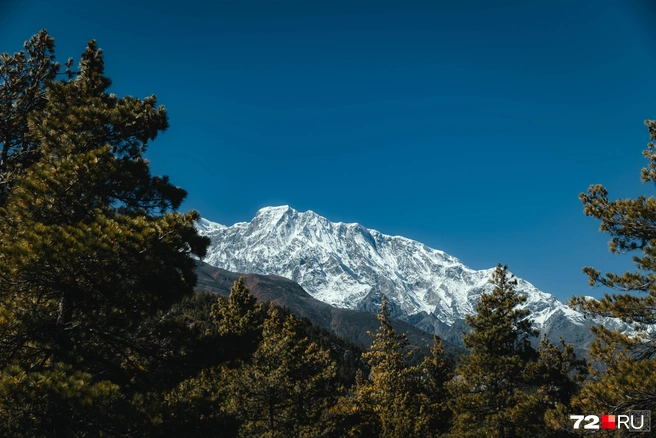 Источник: Екатерина Бурко