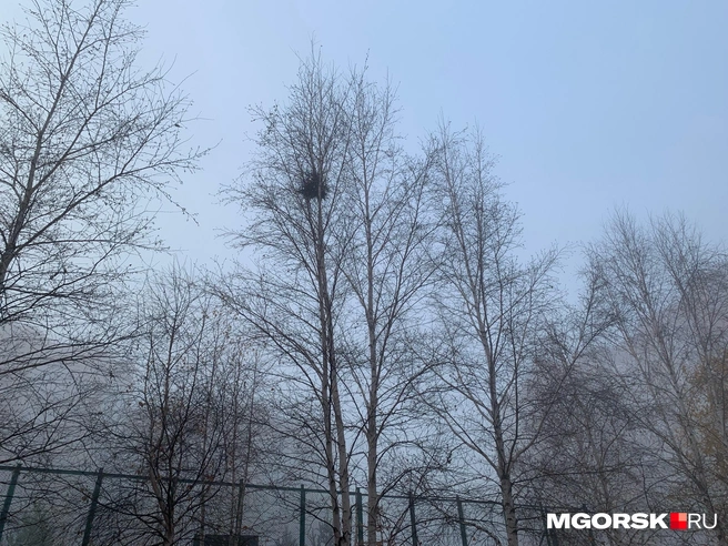 Выглядит мрачновато и мистически | Источник: читатель MGORSK.RU