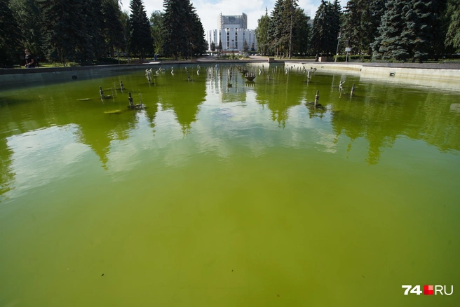 Чашу фонтана чистили недавно, но из-за технической поломки вода снова позеленела | Источник: Илья Бархатов