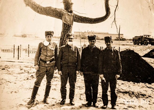 Тысячелетняя сосна в зоне Чернобыльской АЭС