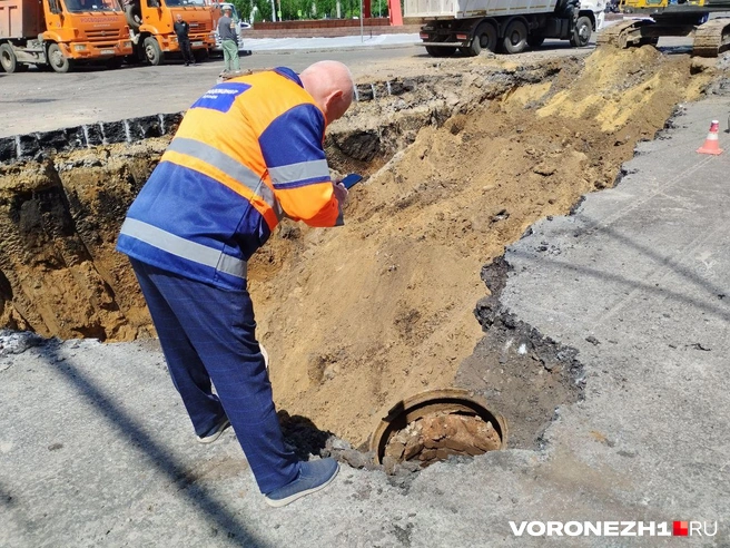 Источник: Дмитрий Волгин / Voronezh1.ru