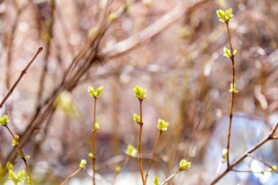 Krasnodar Weather: Warmth Returns This Weekend
