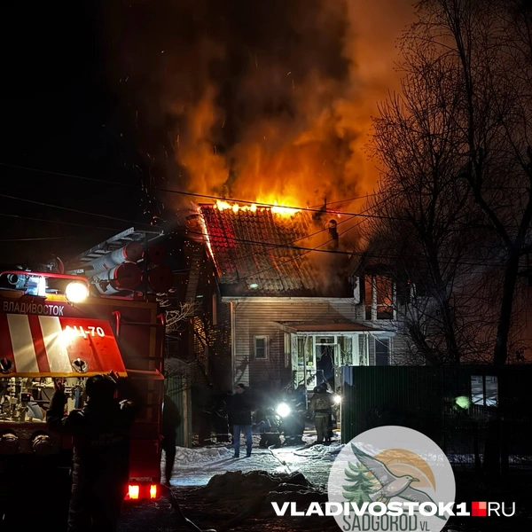 Источник: Садгород VL • Новости и события пригорода Владивостока