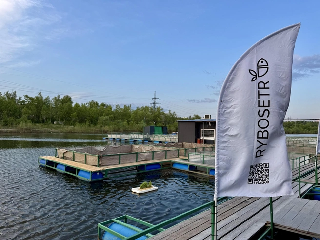 Рыбному хозяйству всего два года, но за это время оно существенно выросло | Источник: «Рыбосетр»