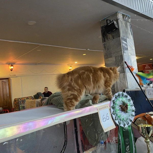 Источник: Ирина Господаренко / NGS22.RU