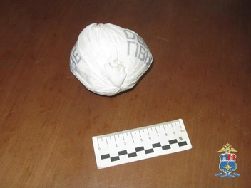 Экспертиза показала, что в свертке наркотики | Источник: пресс-служба УТ МВД России по СКФО