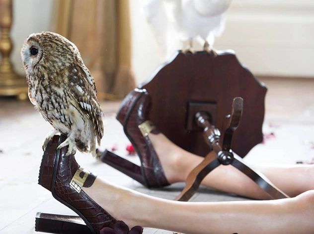 Кара Делевинь в стране чудес Mulberry