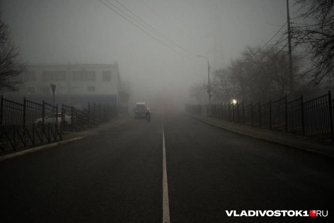 Источник: Елена Буйвол / VLADIVOSTOK1.RU