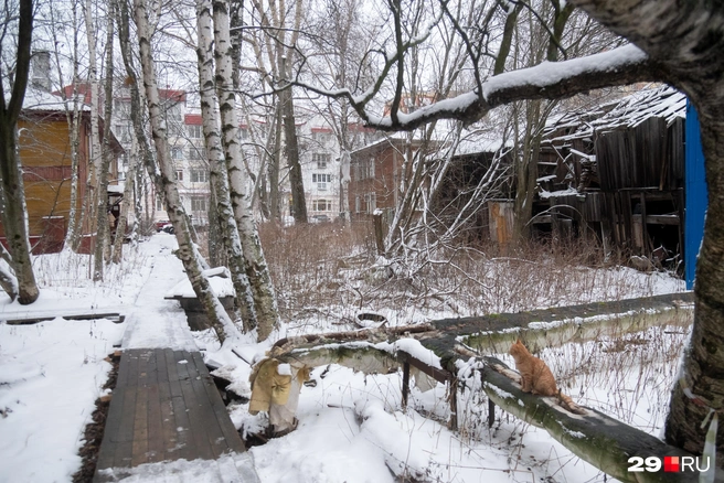 Источник: Иван Митюшёв / 29.RU