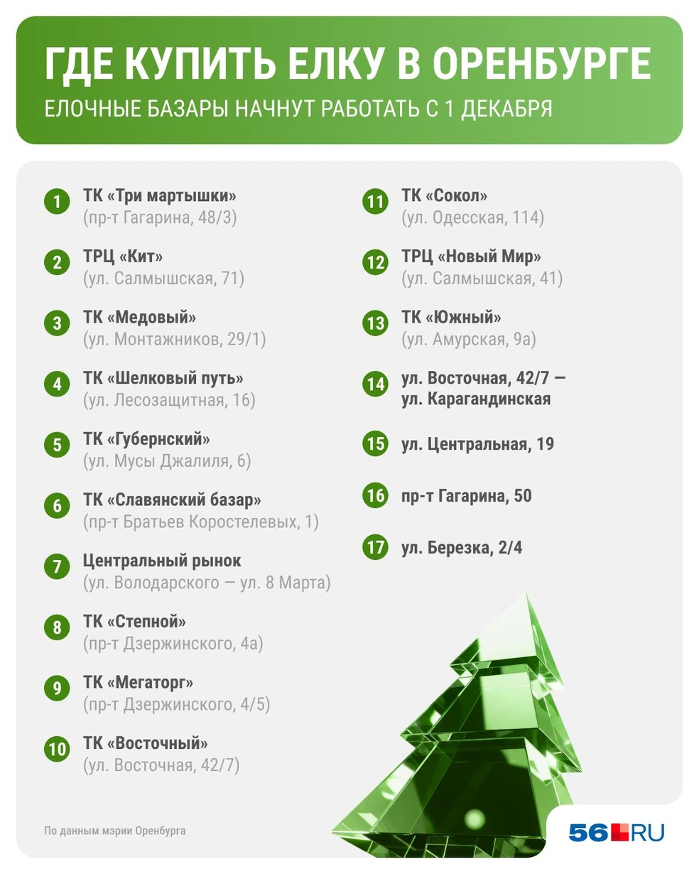 Все адреса елочных базаров&nbsp;— в одной картинке | Источник: Юрий Скулыбердин / Городские медиа