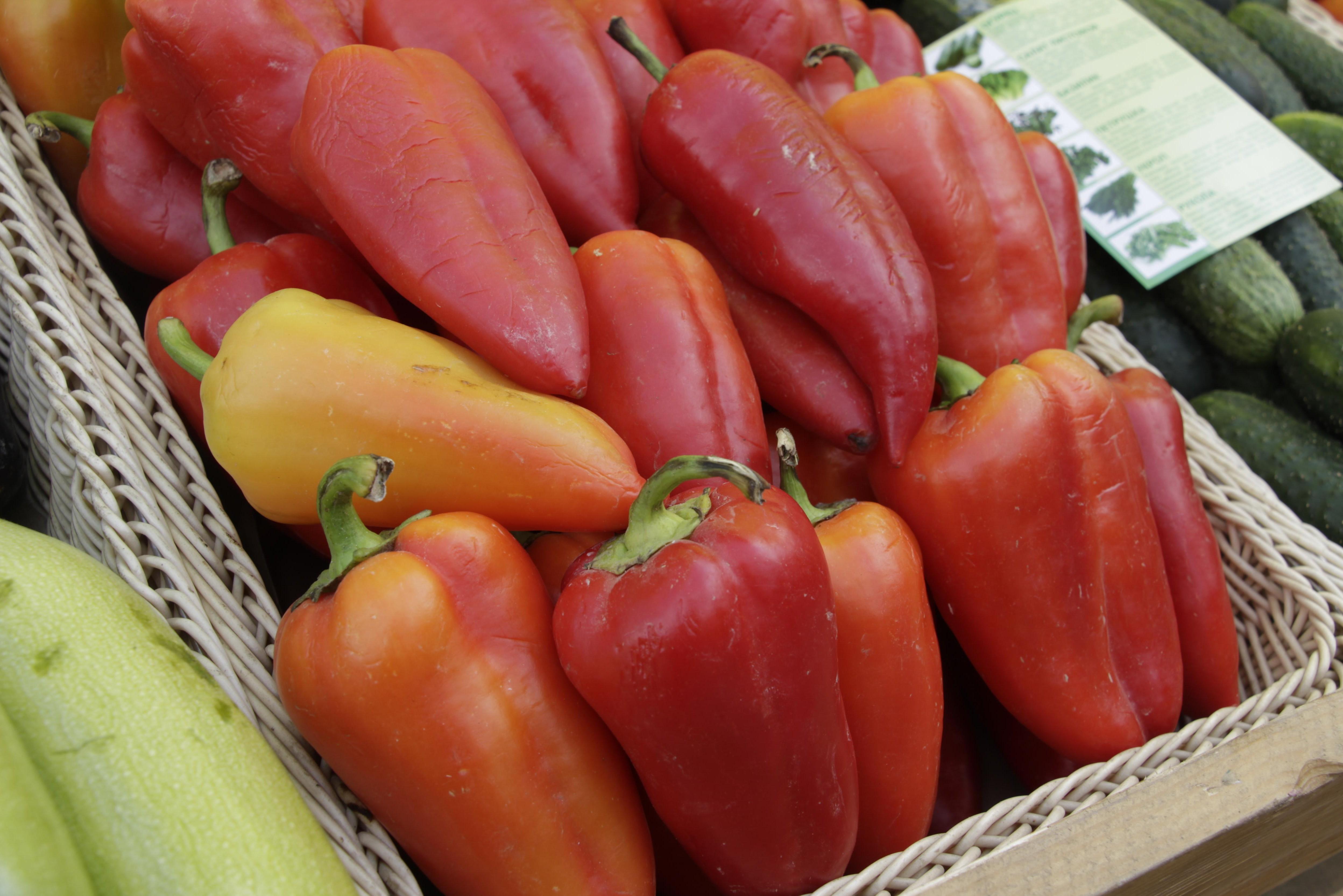 �� ���� ������ � &laquo;������ �������&raquo;: � ������ �������� � ����������� ������� ��������� ���� ����������������