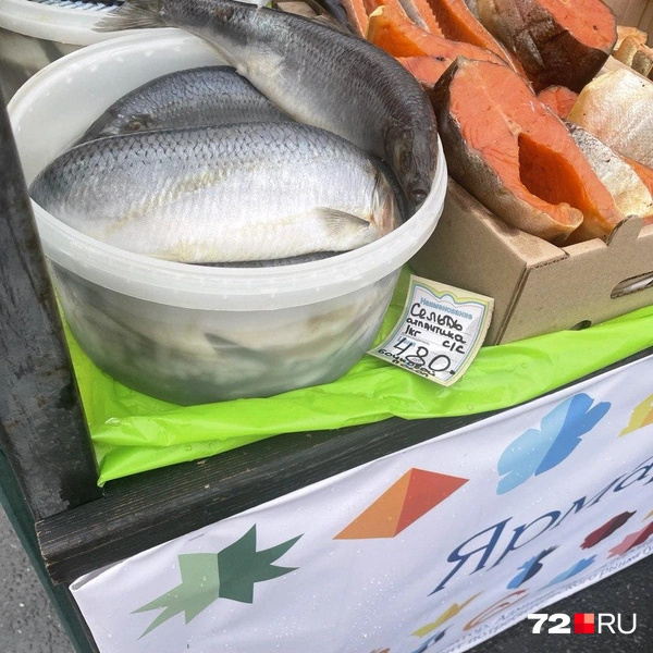 Источник: Радик Енчу / 72.RU