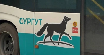 Все автобусы оформлены в едином стиле | Источник: администрация города Сургута