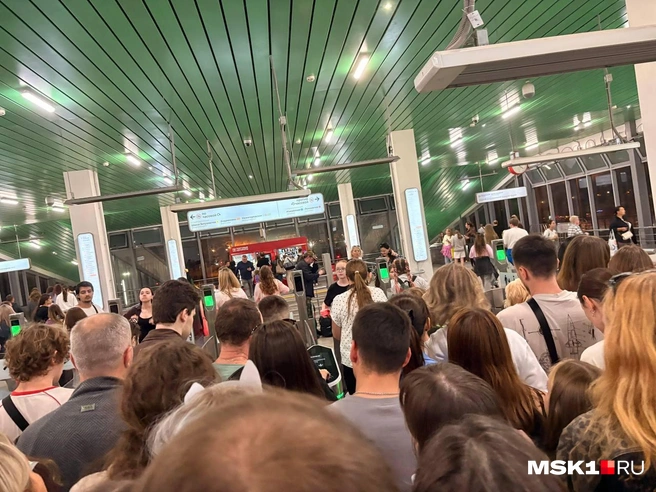 Сотни людей пытались попасть на МЦК | Источник: Валерия Животовская / MSK1.RU