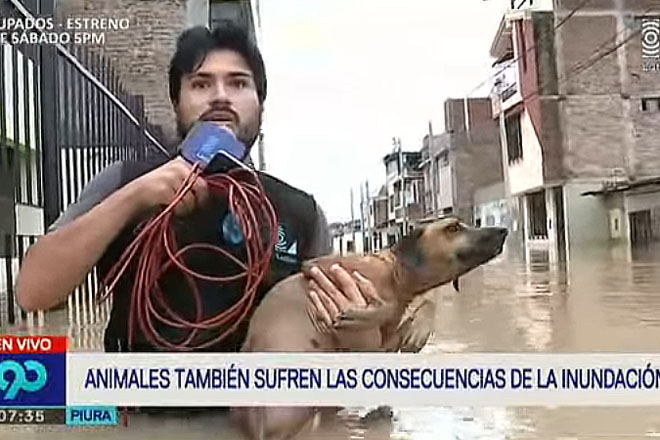 Репортер остановил прямой эфир, чтобы спасти тонущего пса