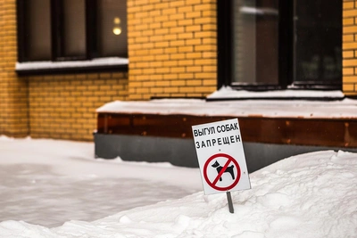 В Кукморе выделили зоны для выгула домашних животных