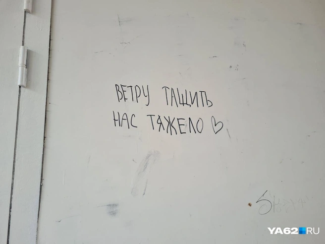Молодежь все равно будет гулять на Почтовой или будет делать это в открытых дворах жилых домов | Источник: Светлана Коновалова / YA62.RU