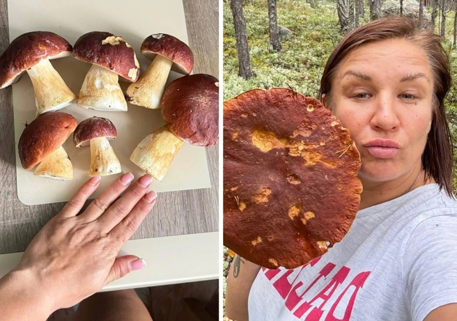 Размеры грибов впечатляют | Источник: Таня Астрадымова