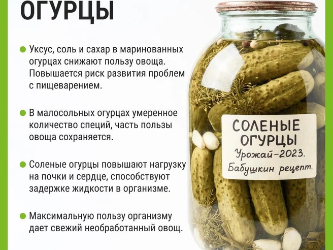 Сравнение пользы свежих, маринованных, солёных и малосольных огурцов | Источник: Мария Романова / Городские медиа
