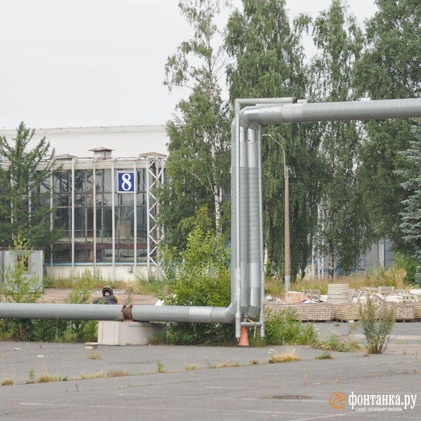Источник: Михаил Огнев / «Фонтанка.ру»