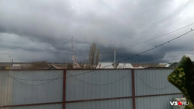 «А только всё начало цвести». Волгоградскую область накрыл мощный град с дождем — фото и видео | Источник: Антон Лукин