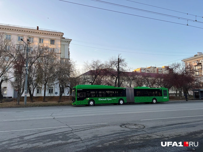 Гармошка в Челябинске | Источник: Андрей Бирюков / UFA1.RU